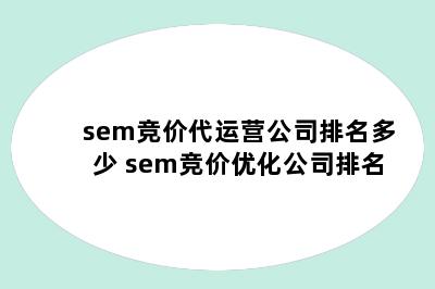 sem竞价代运营公司排名多少 sem竞价优化公司排名